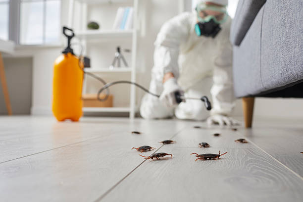 Trusted Cockroach Control service in North Fair Oaks, CA - Nex Pest Control