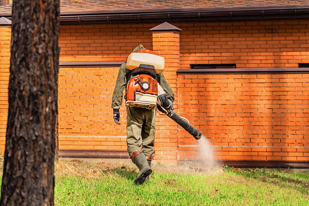 Trusted Fumigation Services service in North Fair Oaks, CA - Nex Pest Control